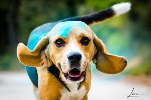 STEPHANIE JAMONT - LEMI PHOTO