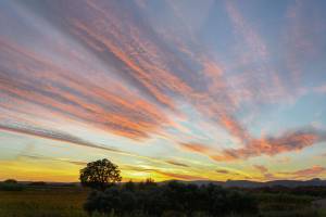 Nathalie VINCENT APONTE - NAVA 3.0